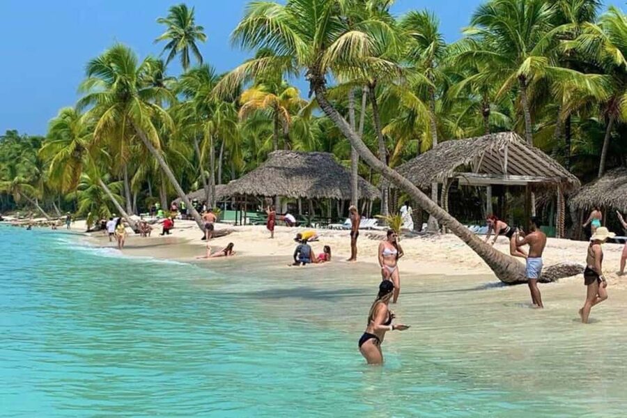Bavaro: Saona Island Speedboat Tour with Open Bar - Key points at a glance