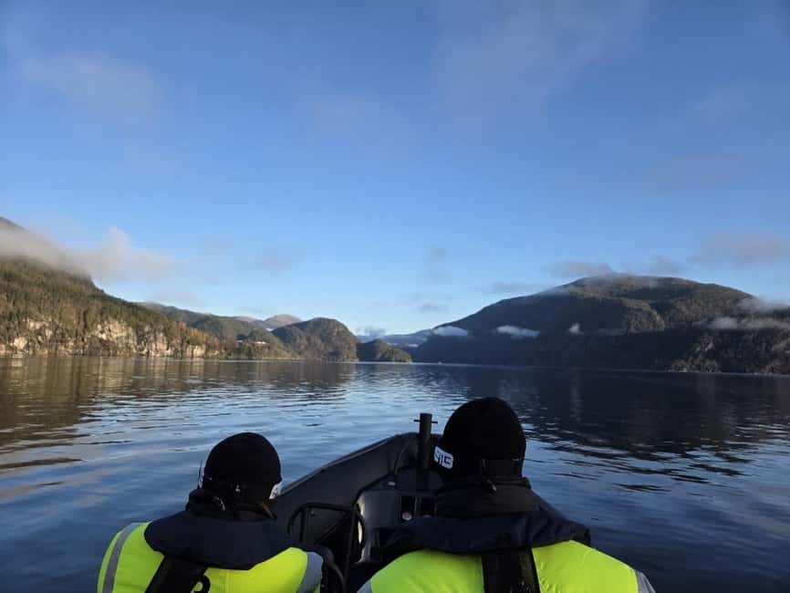 Bergen: Mostraumen Fjord Safari - by Premium RIB Boat - Who will enjoy this most?