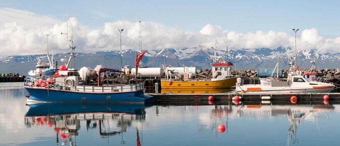 Big Whales & Puffins RIB boat tour from Húsavík - Quick facts about the Húsavík RIB whale tour