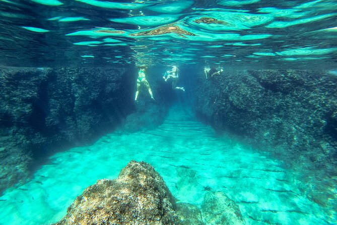 Blue Cave, Green Cave & Lopud Beach small group Speed boat Tour - Who should book this speedboat tour?