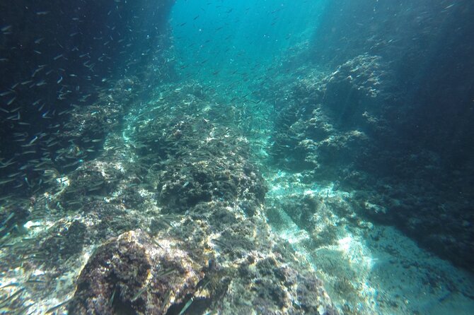 Blue cave tour with a speedboat-small group - The price: fair for a short private-feeling outing