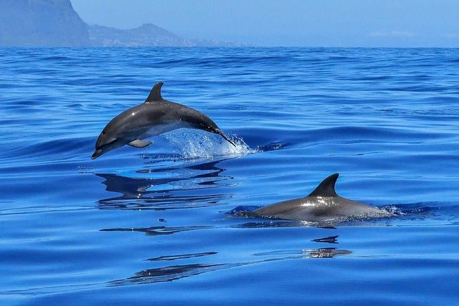 BLUE LAGON & 3 islands full day private speedboat tour - Five things to know before booking