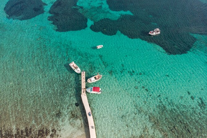 Blue Lagoon and Šolta Island Private Speedboat Tour - Maslinica: pine shade and a harbor pause