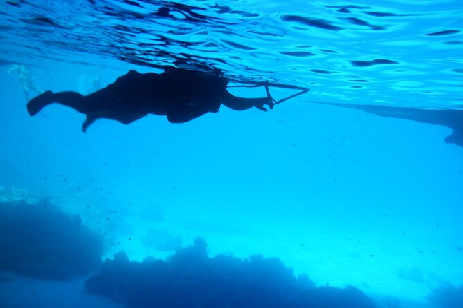Blue Room and Beach Tour Curacao by Speedboat - Starting at Caracas Bay