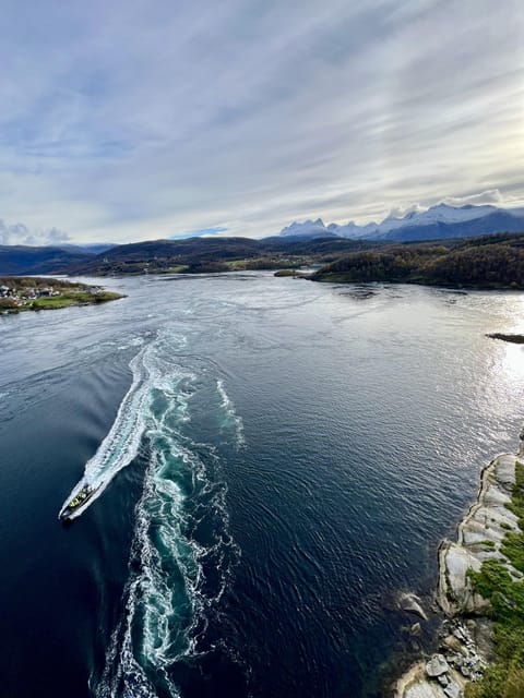 Bodø: Saltstraumen RIB Safari - Why Saltstraumen is worth a boat ride