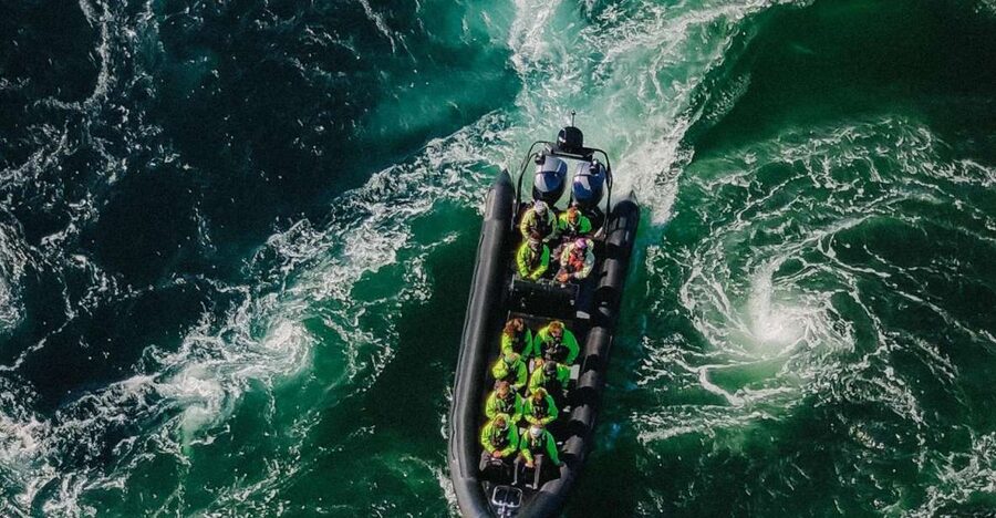 Bodø: Saltstraumen Sea Eagle Trip by RIB - Key points at a glance
