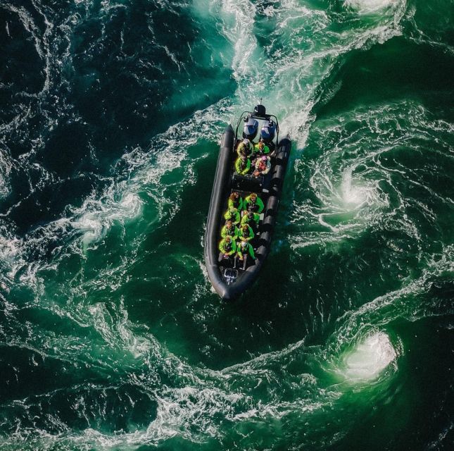 Bodø: Saltstraumen Sea Eagle Trip by RIB - Meeting the RIB beside Bodø’s harbor