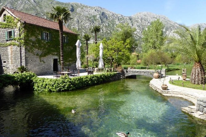 Boka Bay tour by car or speedboat (Private tour) - Should you book the Boka Bay private tour?