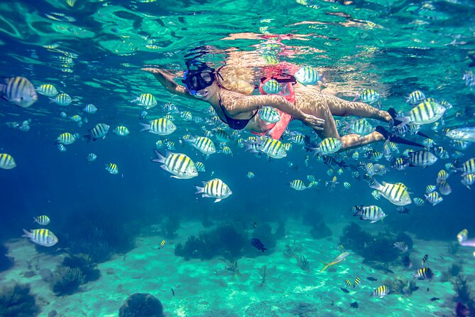 Breathtaking experience driving a speedboat in Cancun with Snorkeling included - Driving through the mangroves for about 35 minutes