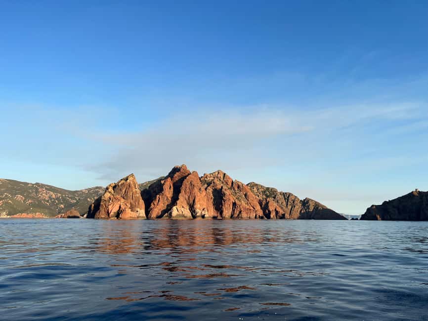 Calvi: Guided speedboat tour to Scandola - Key points to know before booking