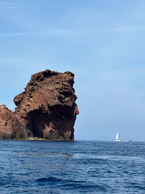 Calvi: Guided speedboat tour to Scandola - Why Scandola is worth a boat trip from Calvi