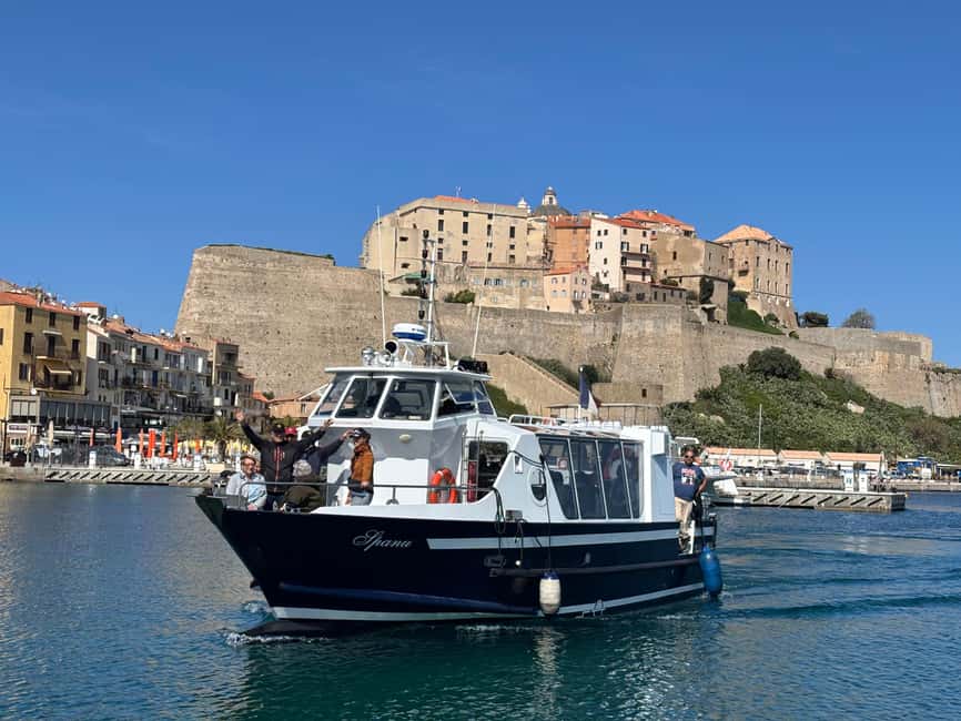 Calvi: Guided speedboat tour to Scandola - Is $76 a fair price?