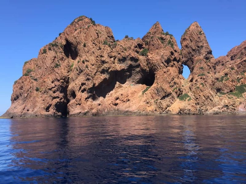 Calvi: Guided speedboat tour to Scandola and Girolata - Key points at a glance