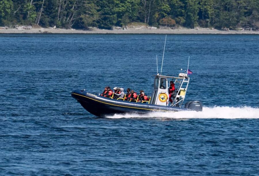 Campbell River: 6 Hour Zodiac Whale Watching Tour w/ Lunch - Starting at Coast Marina in Campbell River