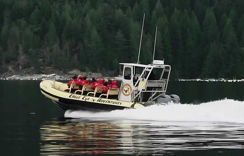Campbell River: 6 Hour Zodiac Whale Watching Tour w/ Lunch - Is $261 good value?
