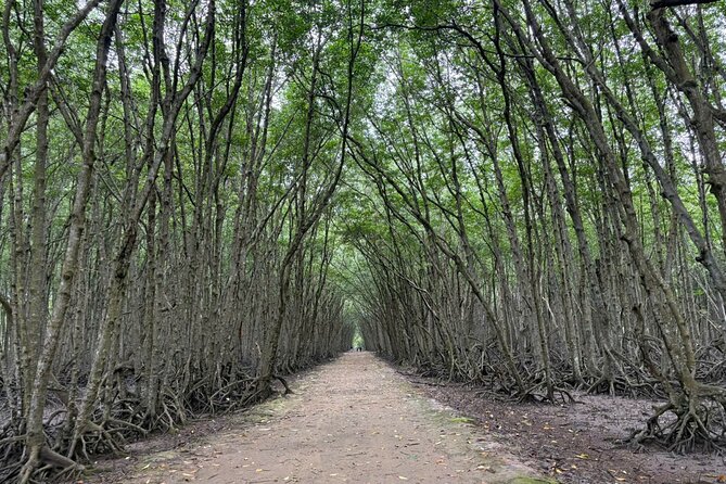 Can Gio Mangrove Adventure: Speedboat with Monkey Island - Vietnamese lunch and a beach afternoon