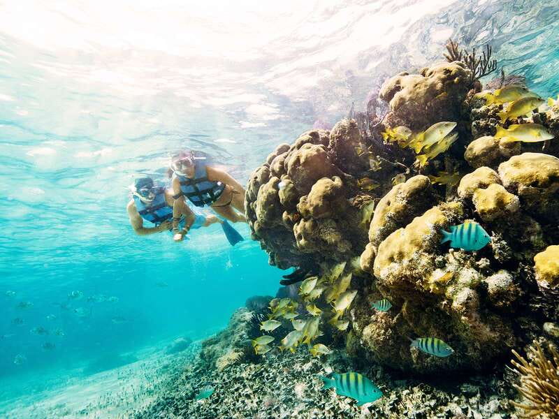 Cancun: 2–Hour Speedboat Experience - Punta Nizuc and the 45-minute reef stop