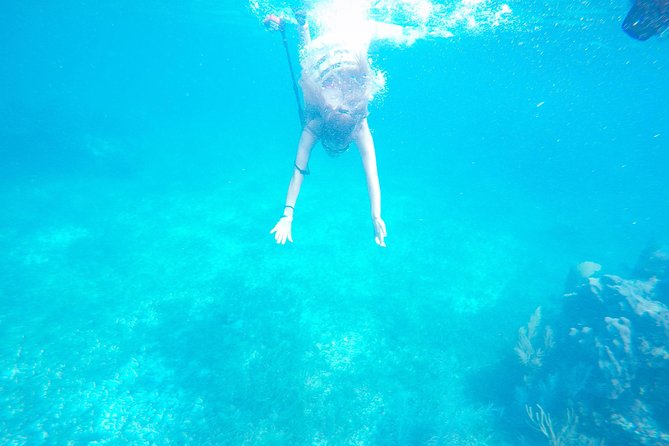 Cancun Adventure Speed Boat Jungle Tour with Transportation - Why the $59.99 price needs a closer look