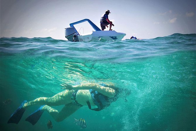 Cancun Adventure Speed Boat Jungle Tour with Transportation - Transportation, timing, and the marina setup
