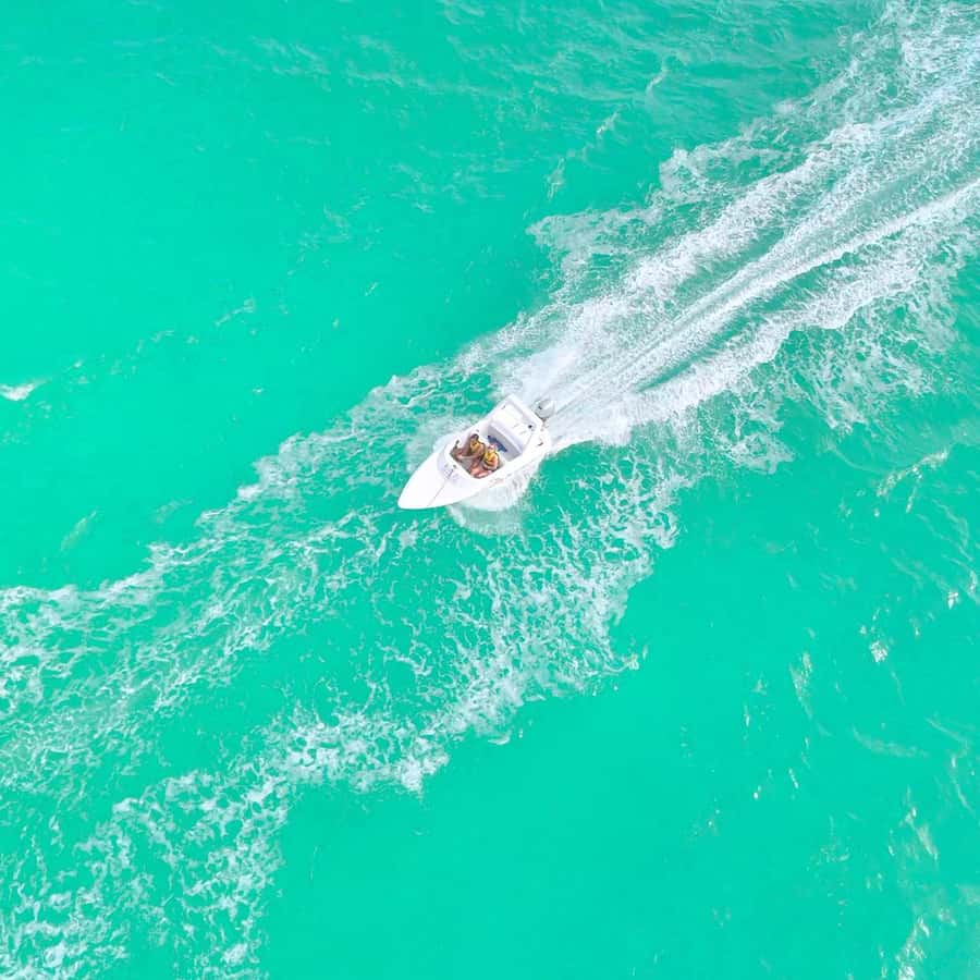 Cancun: Jungle Speedboat and Snorkeling Tour Adventure - Should you book the Cancun jungle speedboat tour?