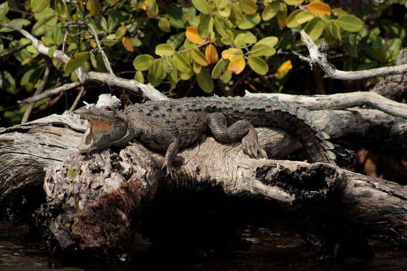Cancun: Jungle Tour Adventure with Speedboat and Snorkeling. - What to bring and what to leave behind