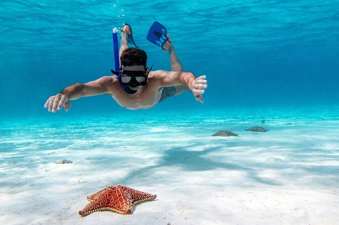 Cancun Jungle Tour with Speedboat and Snorkeling - The price, extra fees, and actual value
