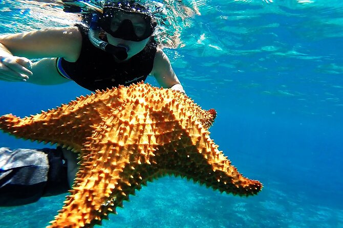Cancun Jungle Tour with Speedboat and Snorkeling - Who will enjoy this tour most