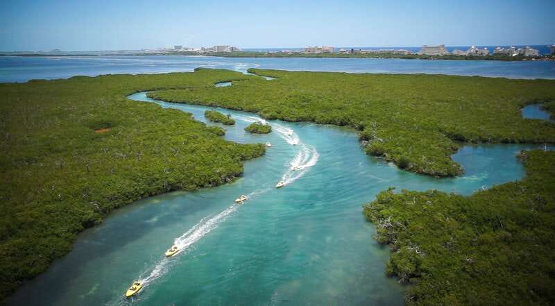 Cancun: Speedboat Mangrove Jungle & Snorkel Tour - What the $70 price really covers