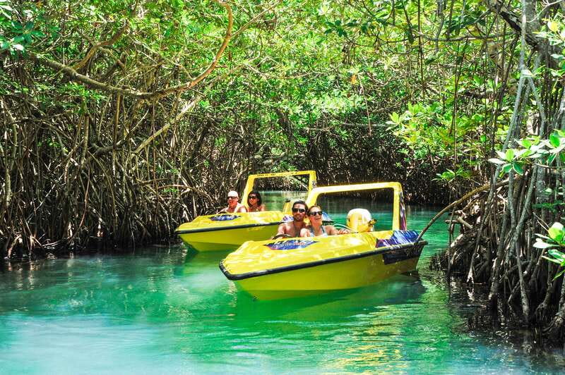Cancun: Speedboat Mangrove Jungle & Snorkel Tour - Racing through Nichupte Lagoon