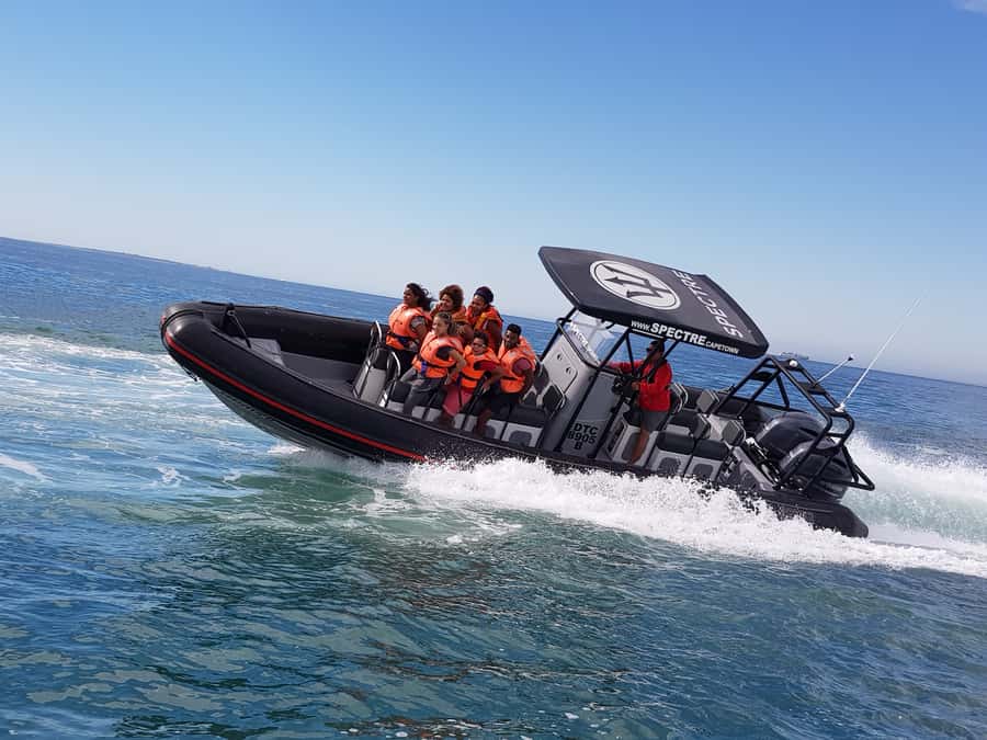 Cape Town Ocean Safari: Speed Boat Adventure in Table Bay - Starting at Quay 5 in the V&A Waterfront