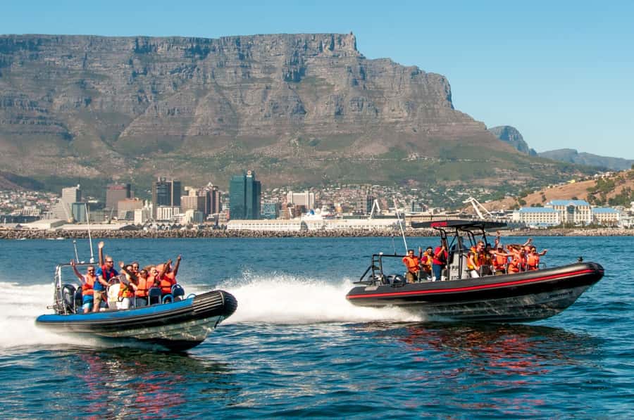Cape Town Ocean Safari: Speed Boat Adventure in Table Bay - Slowing down to search for marine life