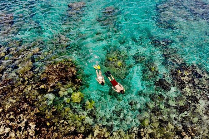 Captain Bob Speed Boat, Snorkeling, Beach Tour & Lunch St Maarten - Key points to know before booking