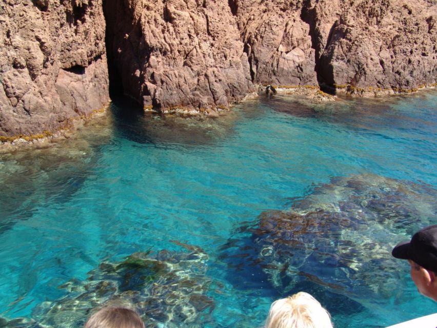 Cargèse:Scandola/Piana/Stop in Girolata Half-Day on RIB boat - Thirty minutes in Girolata