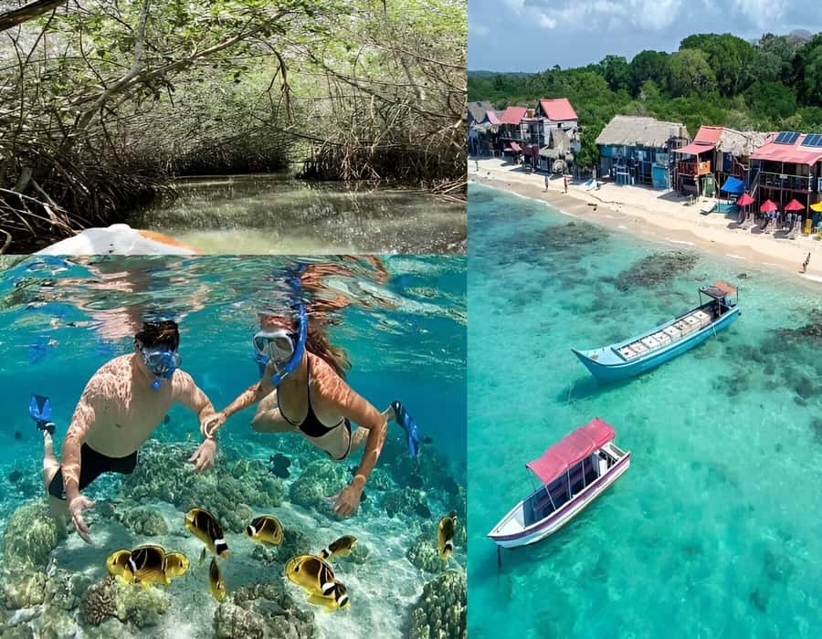Cartagena: Visit 4 islands in a speedboat + plankton! - The Speedboat Out to the Rosario Islands