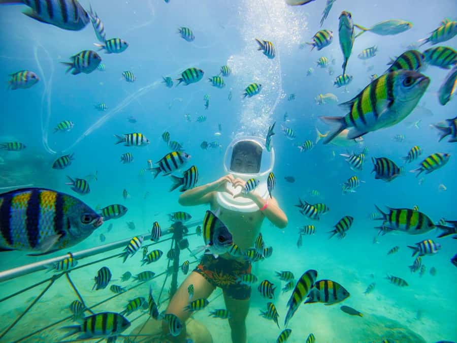 Chalong: Kahung Beach Day Trip by Speedboat & Lunch - Is $59 good value?