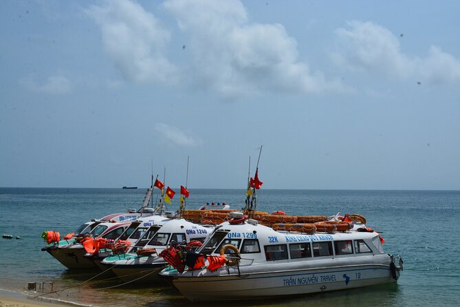 Cham Island Day Tour: Speed Boat, Lunch, Snorkeling & Beach - Snorkeling with sea life