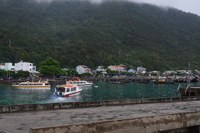 Cham Island Day Tour: Speed Boat, Lunch, Snorkeling & Beach - Group size, comfort, and who should book