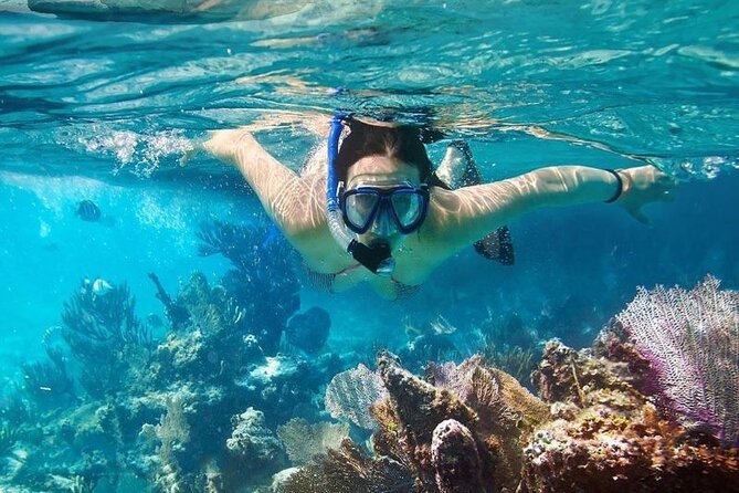 Cham Island Tour Snorkeling -Sunbathing - Nice Beach - Speedboat - The Cua Dai Speedboat Ride