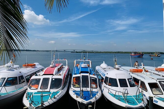 Cham Island Trip by Speed Boat including Snorkeling from Hoi An or Da Nang - Key points to know before you book