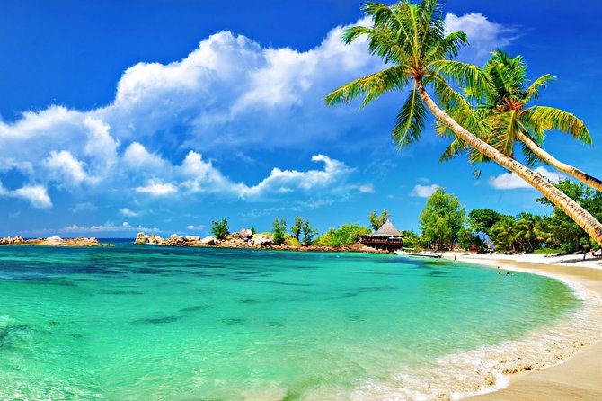 Cham Island Trip by Speed Boat including Snorkeling from Hoi An or Da Nang - Who should choose this Cham Island trip?