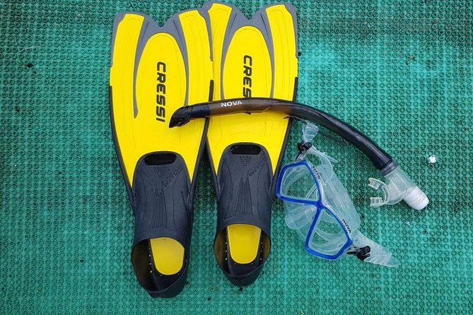 Cham Islands Snorkeling Tour by SpeedBoat from Da Nang - Why Cu Lao Cham makes a good escape from Da Nang