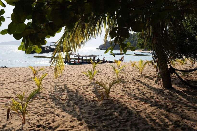 Cham Islands Snorkeling Tour by Speedboat : Hoi An/Da Nang - Key points to know before booking