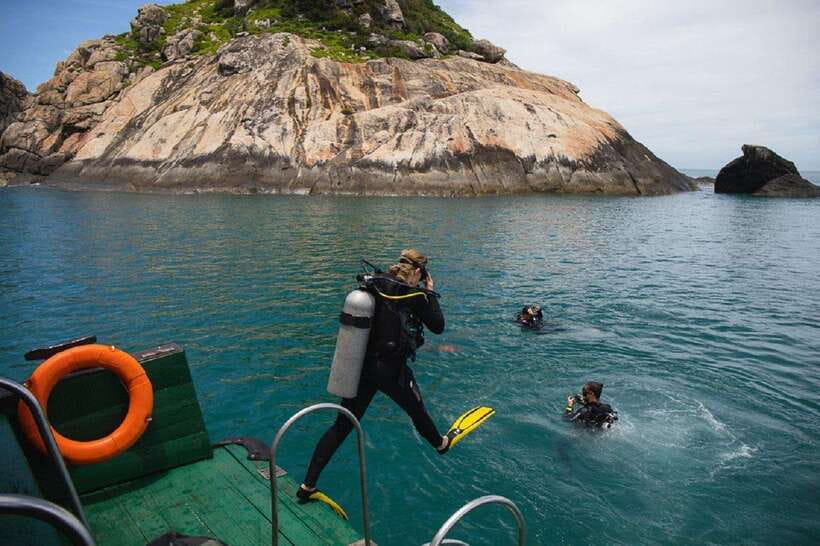 Cham Islands Snorkeling Tour by Speedboat : Hoi An/Da Nang - Lang Beach, the protected area, and island life