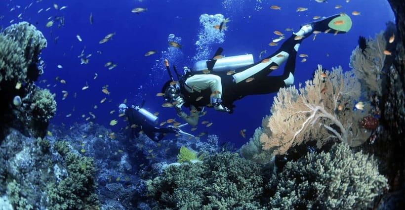 Cham Islands Snorkeling Tour by Speedboat : Hoi An / Da Nang - Starting early from Da Nang or Hoi An