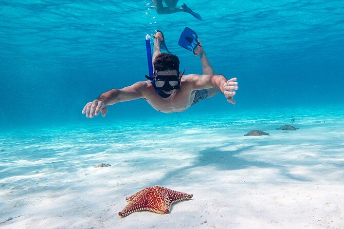 Cozumel Starfish and Tropical Reef Snorkeling by Powerboat with Lunch - Why Cozumel makes sense for a snorkeling day