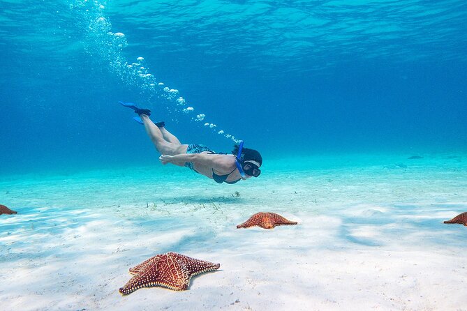 Cozumel Starfish and Tropical Reef Snorkeling by Powerboat with Lunch - El Cielo and the starfish sandbar