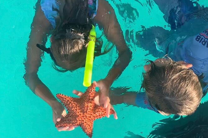 Cristal Speed boat, Snorkeling, Beach Tour & Lunch St Maarten - A fast start from Dock Maarten
