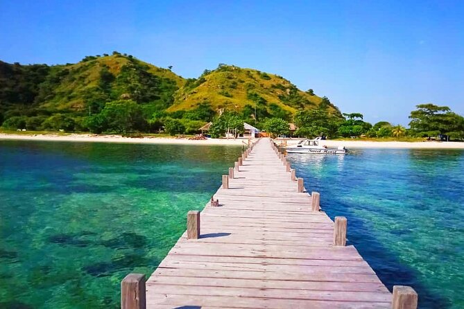 Daily Trip Highlight Komodo Archipelago by Speed Boat - Manta Point: exciting possibilities, no promise