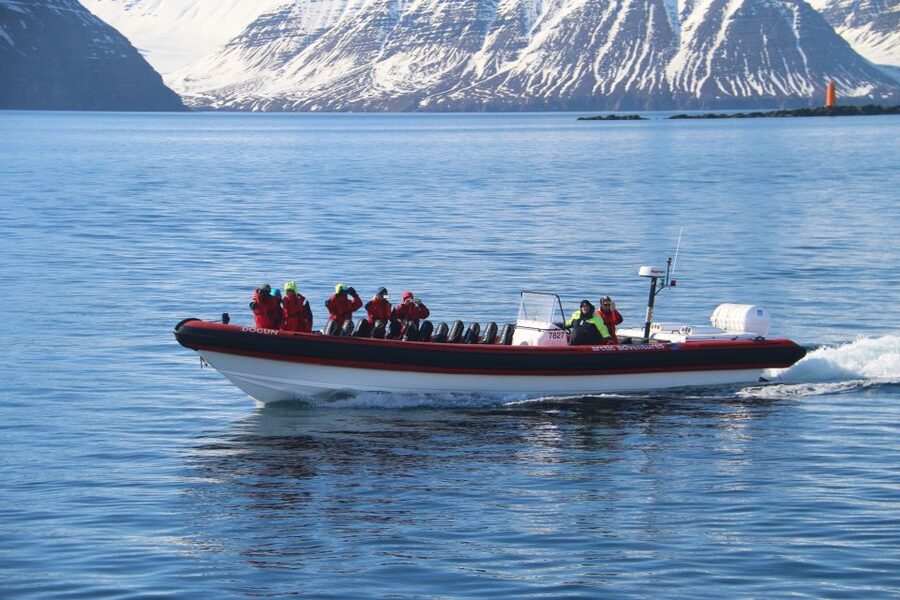 Dalvík: Whale Watching Speedboat Tour - Practical advice for a better outing