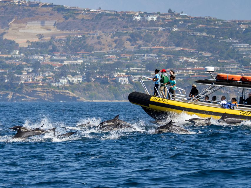 Dana Point Fast & Fun Zodiac-Style Dolphin & Whale Watching - Leaving Dana Point Harbor at 30 knots
